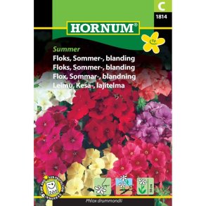 Floks, blomsterfr, Sommer, blanding