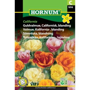 Guldvalmue, blomsterfr, Californisk, blanding