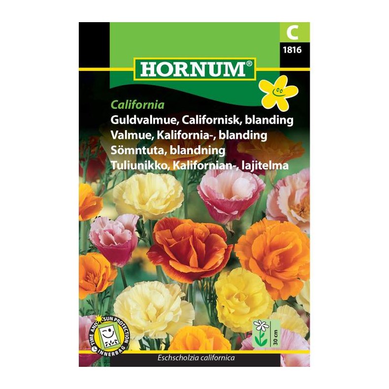 Guldvalmue, blomsterfr, Californisk, blanding