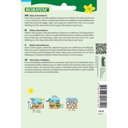 Lupin, blomsterfr, blanding, rosa og violette