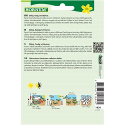 Lvemund, blomsterfr, Elegant