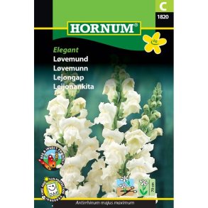 L�vemund, blomsterfr�, Elegant