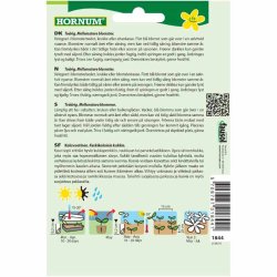 Stedmoderblomst, Tempo