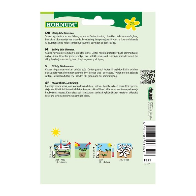 Kniplingsblomst, blomsterfr, Blue Umbrella