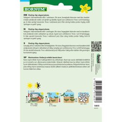 Solhat blomsterfr, blanding, Great Sunny Mix