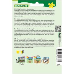 Lobelia, Hnge, blomsterfr, Cascade Mix