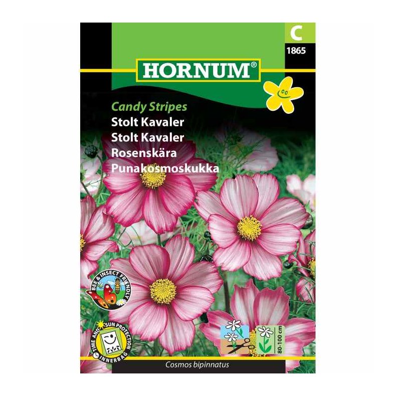 Stolt Kavaler, blomsterfr, Candy Strips