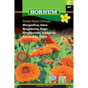 Morgenfrue, Have, blomsterfr, Green Heart Orange
