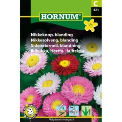 Nikkeknop, blomsterfr, blanding
