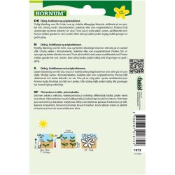 Papirblomst fr, blanding