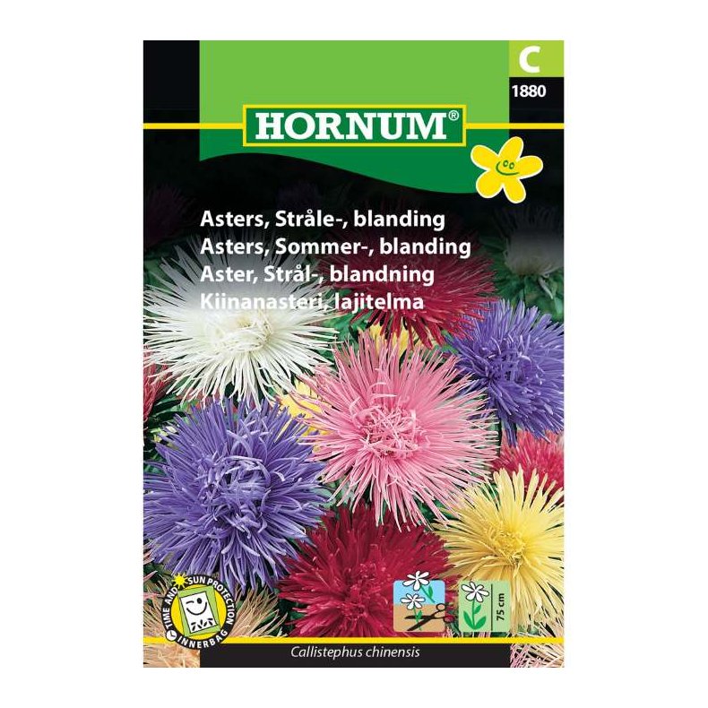 Asters, blomsterfr, Strle, blanding