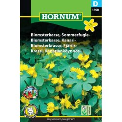 Blomsterkarse, blomsterfr, Sommerfugle
