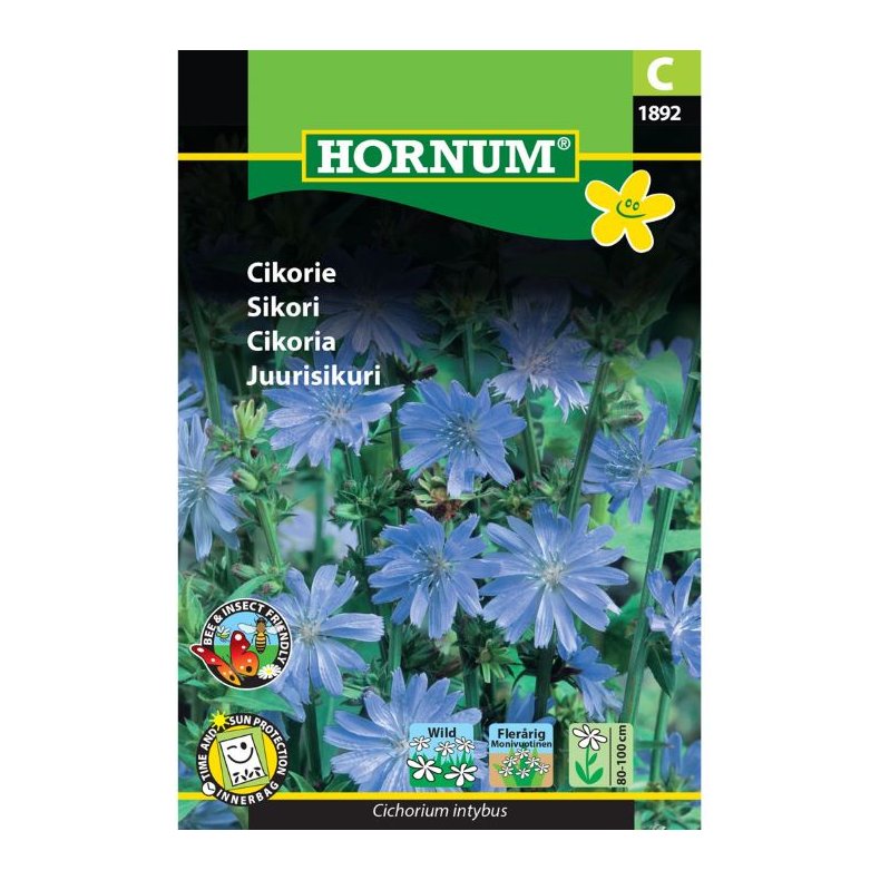 Cikorie blomsterfr 