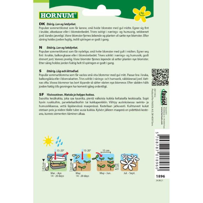 Margerit, blomsterfr, Sommer