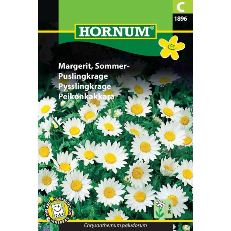 Margerit, blomsterfr, Sommer