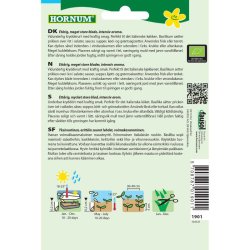 kologisk Basilikum, krydderurtefr