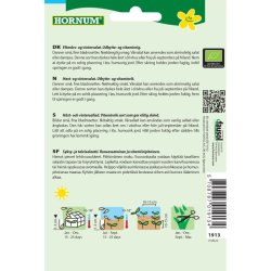 kologisk Salat, Vr-, Vit, grntsagsfr