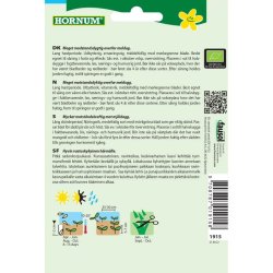 kologisk Spinat, Winterreuzen, grnsagsfr