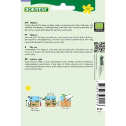 kologisk Gulerod, Sommer-, Nantaise 2, grnsagsfr