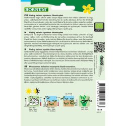 kologisk Sandsennep, grntsagsfr, "Vild rucola"