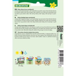 Floks, blomsterfr, Sommer, blanding, Cecily-Mix