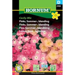 Floks, blomsterfr, Sommer, blanding, Cecily-Mix