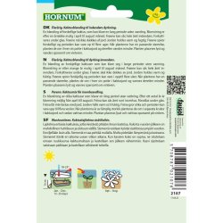 Kaktus, fr, blanding