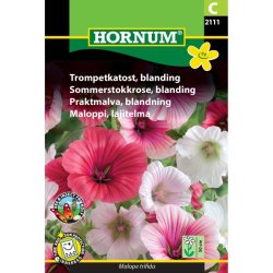 Trompetkatost, blomsterfr, blanding