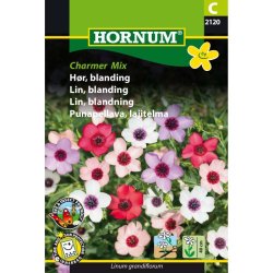 Hr, blanding, Charmer Mix