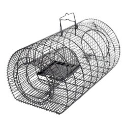 Ruseflde til rotter og mus