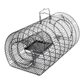 Ruseflde til rotter og mus