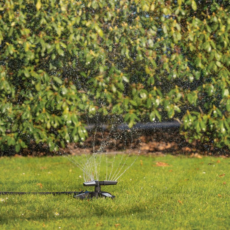 Kredsvander fra Granit 