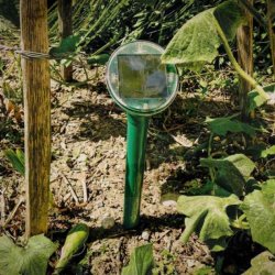 Muldvarpe skrmmer SuperCat Solar Swissinno