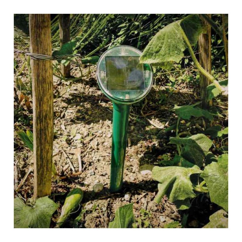 Muldvarpe skrmmer SuperCat Solar Swissinno