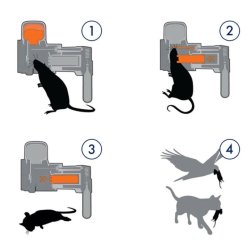 Rotte-og museflde Goodnature A24 Startst