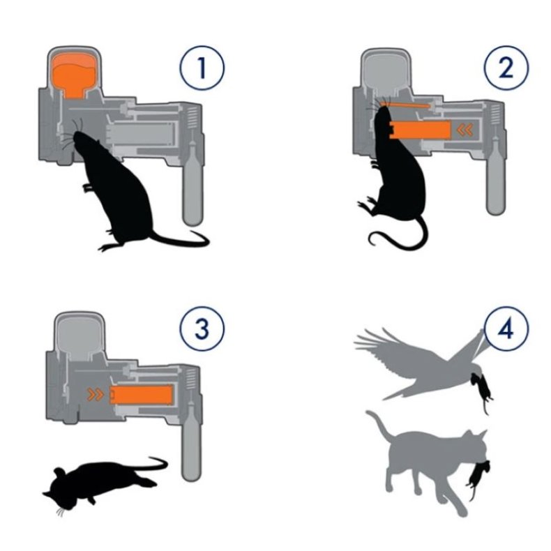 Rotte-og museflde Goodnature A24 Startst