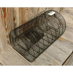 Ruseflde til rotter og mus