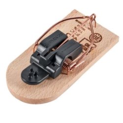 FSC tr museflde SuperCat Swissinno