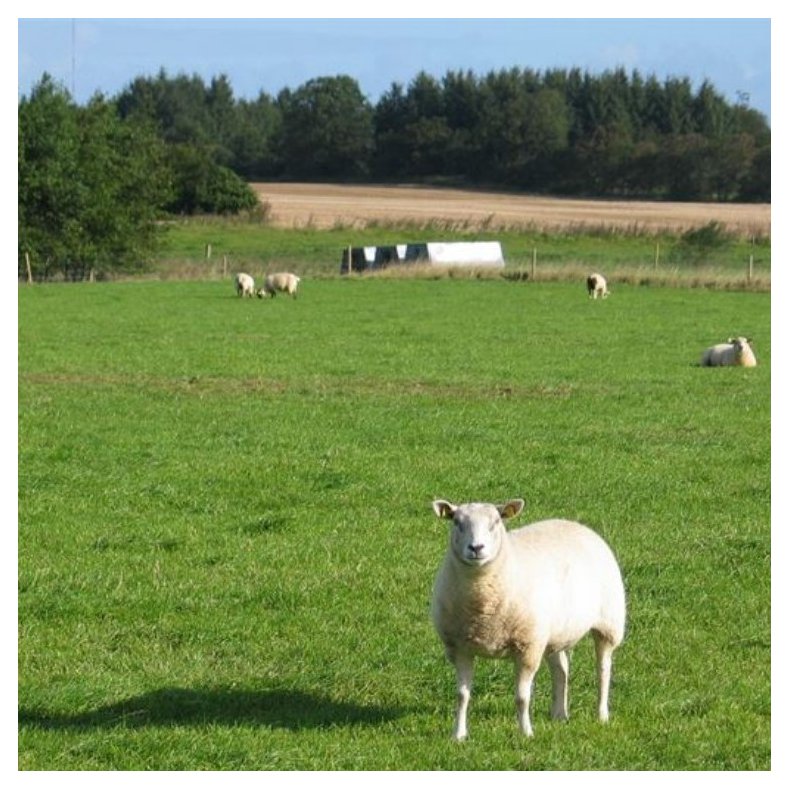 Frblanding Nr. 52 Fr, sildig, 10 kg DSV