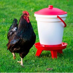 Drikkeautomat Til Fjerkr 18 liter