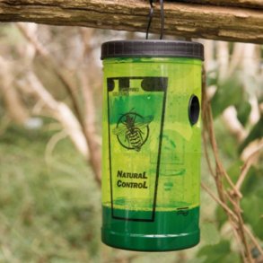 Hvepseflde. Komplet st fra Swissinno