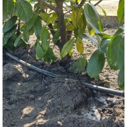 Drypslange IDIT  16mm x 1,15mm. 1,4-2,3L/t, 30cm, 25-100meter 