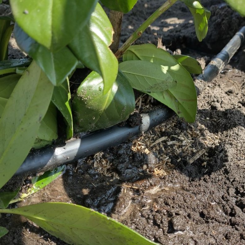 Drypslange IDIT  16mm x 1,15mm. 1,4-2,3L/t, 30cm, 25-100meter 