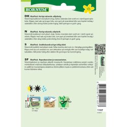 Karse, Einfache grne, Maxi pack