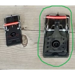 Rotteflde med metalbjle fra Trinol