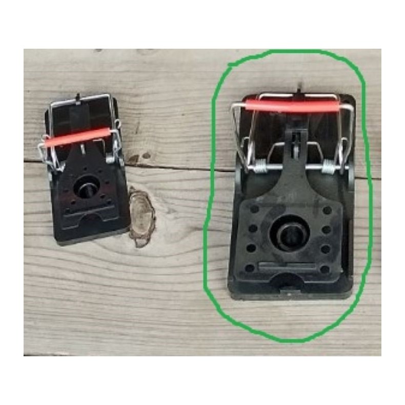 Rotteflde med metalbjle fra Trinol