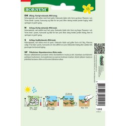 Radise. Flamboyant 3