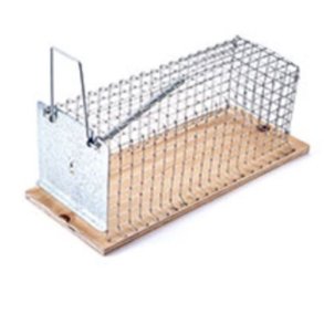 Trdflde til rotter og halsbndmus Swissinno