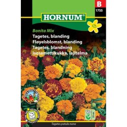 Tagetes, blomsterfr�, blanding, sparky