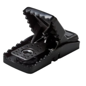 Museflde Trapp mini Rex fra Trinol